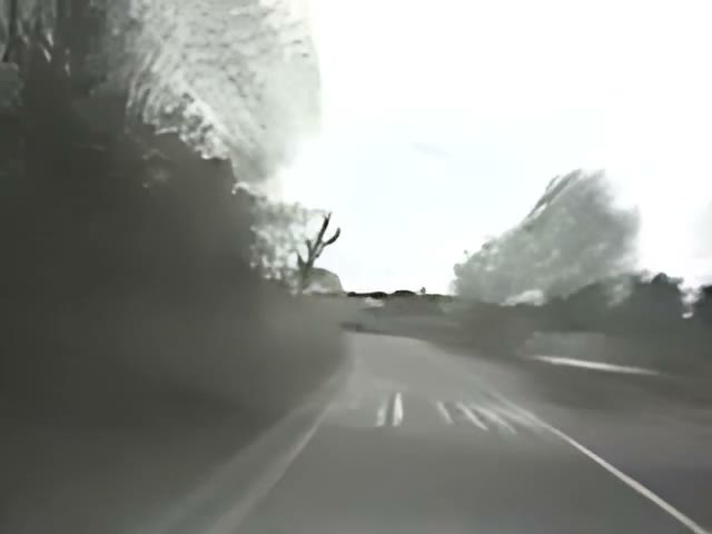 Ferns - Enniscorthy