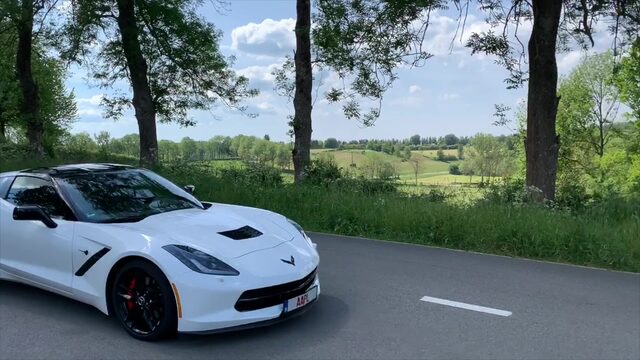 White Rider